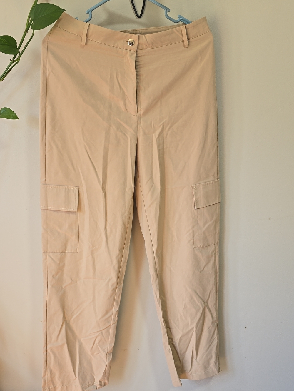 SHEIN Beige Straight-Leg Cargo Pants